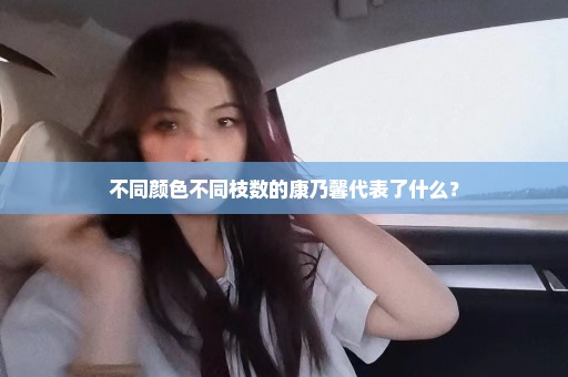 不同颜色不同枝数的康乃馨代表了什么？