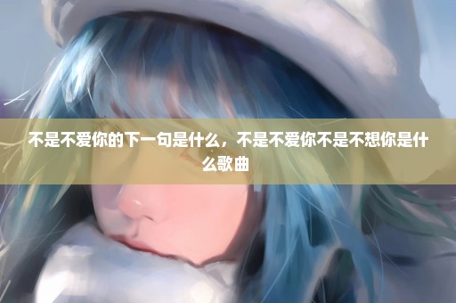 不是不爱你的下一句是什么，不是不爱你不是不想你是什么歌曲 