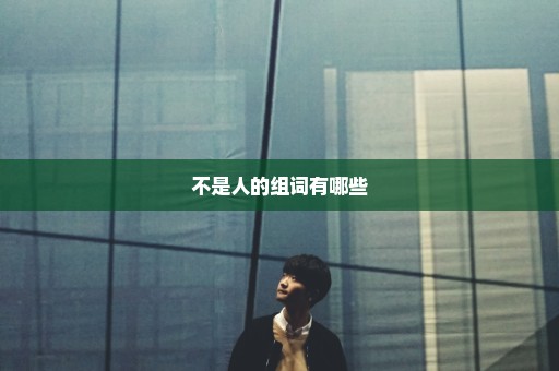不是人的组词有哪些