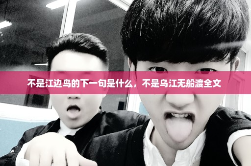 不是江边鸟的下一句是什么，不是乌江无船渡全文 