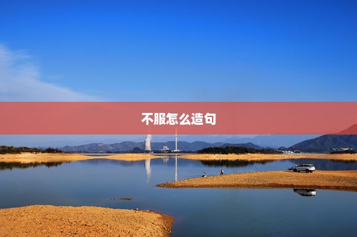 不服怎么造句