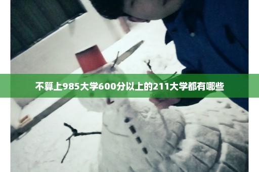 不算上985大学600分以上的211大学都有哪些