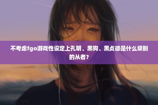 不考虑fgo游戏性设定上孔明、黑狗、黑贞德是什么级别的从者？