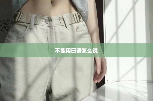 不能用日语怎么说
