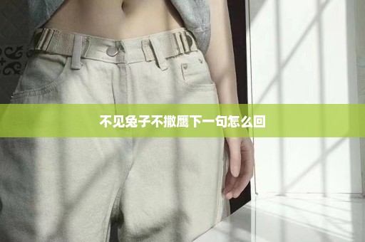 不见兔子不撒鹰下一句怎么回