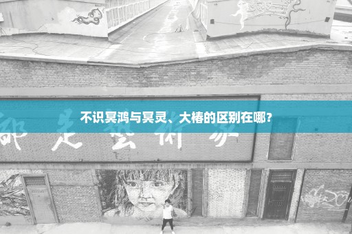 不识冥鸿与冥灵、大椿的区别在哪？