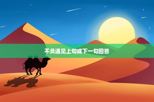 不负遇见上句或下一句回答