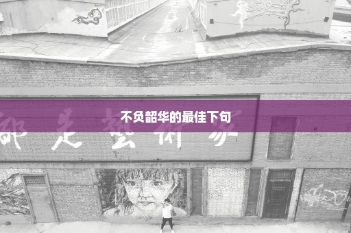 不负韶华的最佳下句