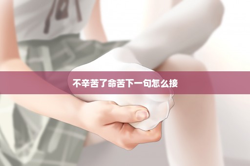 不辛苦了命苦下一句怎么接