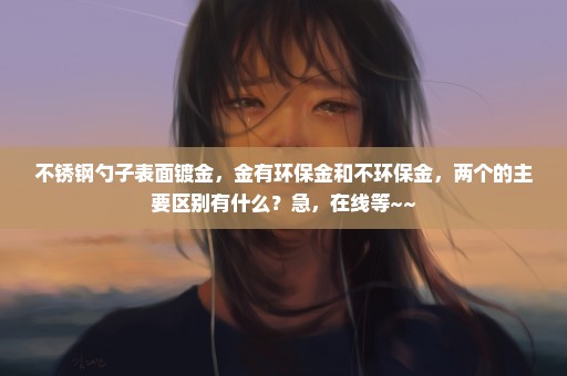 不锈钢勺子表面镀金，金有环保金和不环保金，两个的主要区别有什么？急，在线等~~