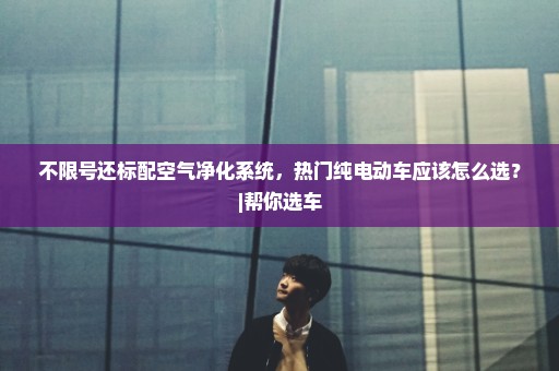 不限号还标配空气净化系统，热门纯电动车应该怎么选？|帮你选车