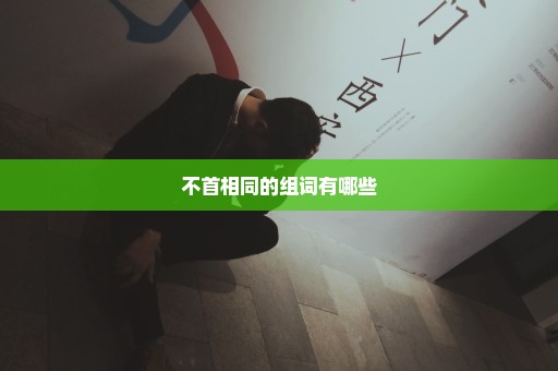 不首相同的组词有哪些