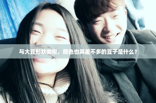 与大豆形状类似，颜色也其差不多的豆子是什么？