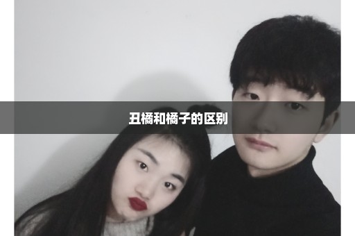 丑橘和橘子的区别