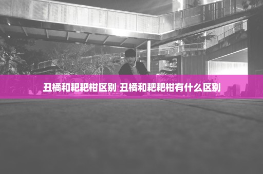 丑橘和耙耙柑区别 丑橘和耙耙柑有什么区别