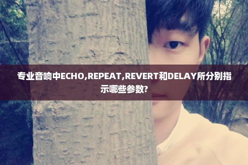 专业音响中ECHO,REPEAT,REVERT和DELAY所分别指示哪些参数?