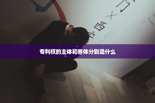专利权的主体和客体分别是什么