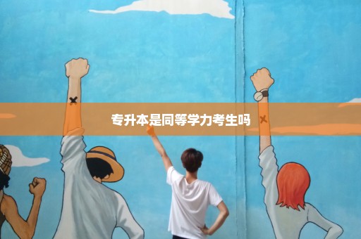专升本是同等学力考生吗