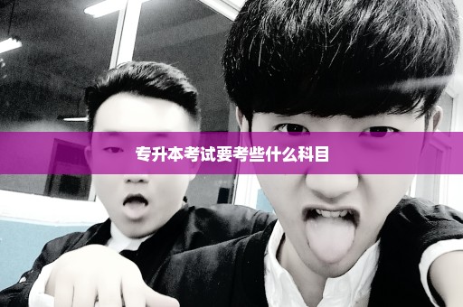专升本考试要考些什么科目