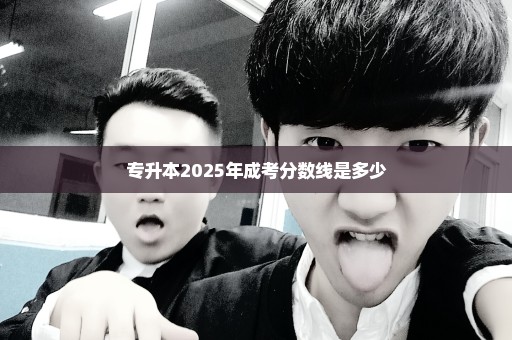 专升本2025年成考分数线是多少