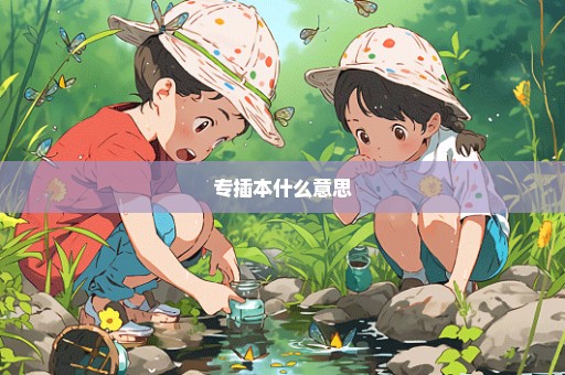 专插本什么意思