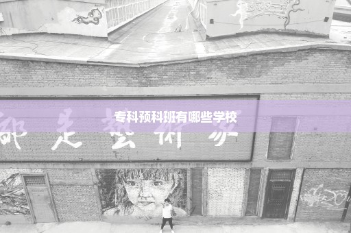 专科预科班有哪些学校