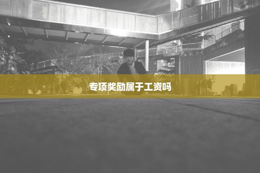 专项奖励属于工资吗