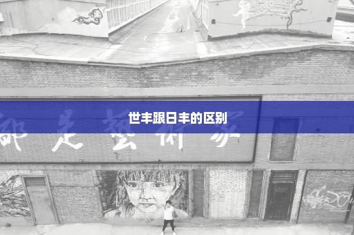 世丰跟日丰的区别