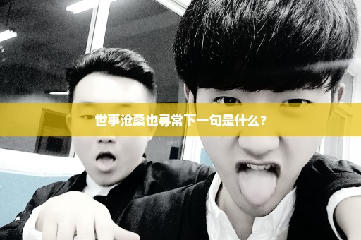 世事沧桑也寻常下一句是什么？