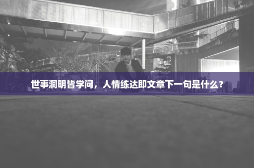 世事洞明皆学问，人情练达即文章下一句是什么？