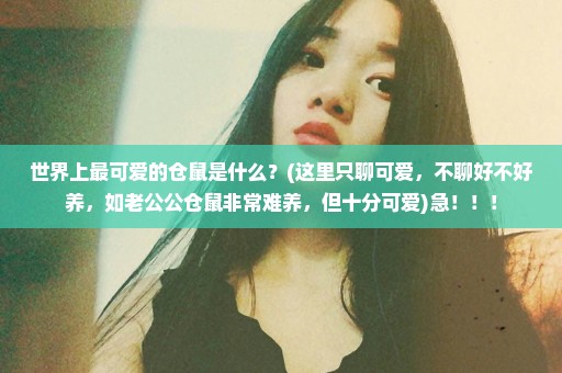 世界上最可爱的仓鼠是什么？(这里只聊可爱，不聊好不好养，如老公公仓鼠非常难养，但十分可爱)急！！！
