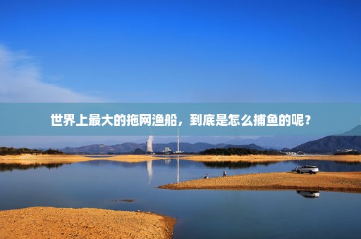 世界上最大的拖网渔船，到底是怎么捕鱼的呢？