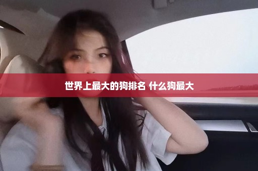世界上最大的狗排名 什么狗最大