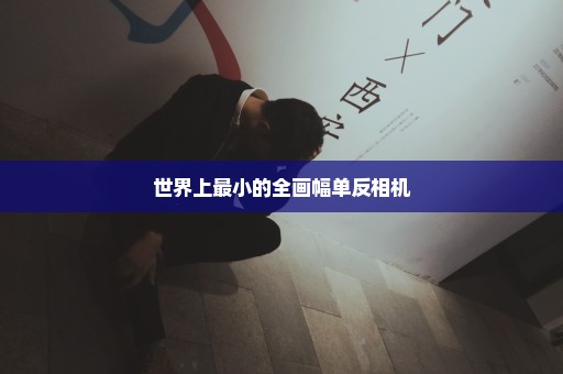 世界上最小的全画幅单反相机
