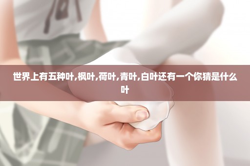 世界上有五种叶,枫叶,荷叶,青叶,白叶还有一个你猜是什么叶