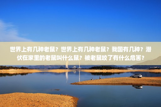 世界上有几种老鼠？世界上有几种老鼠？我国有几种？潜伏在家里的老鼠叫什么鼠？被老鼠咬了有什么危害？