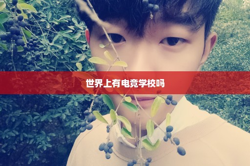 世界上有电竞学校吗