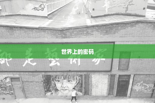 世界上的密码