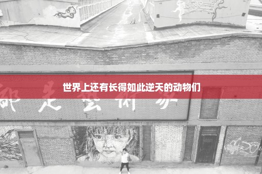 世界上还有长得如此逆天的动物们