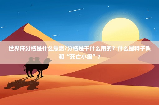 世界杯分档是什么意思?分档是干什么用的？什么是种子队和“死亡小组”?