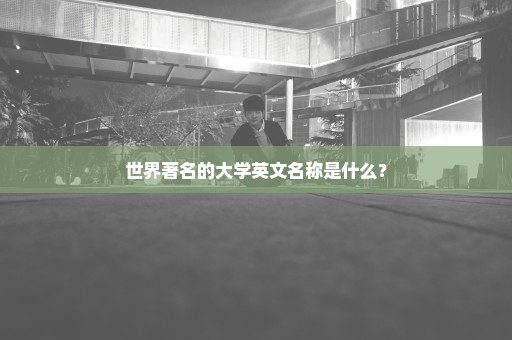 世界著名的大学英文名称是什么？