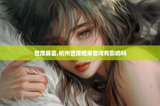 世茂暴雷,杭州世茂栖棠誉湾有影响吗