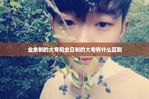 业余制的大专和全日制的大专有什么区别