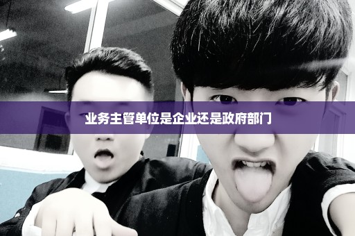 业务主管单位是企业还是政府部门