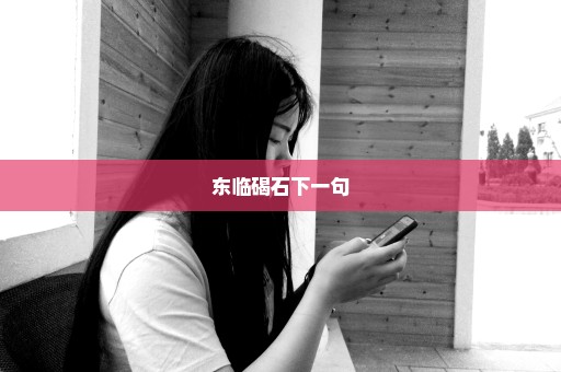 东临碣石下一句