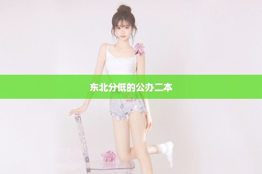 东北分低的公办二本