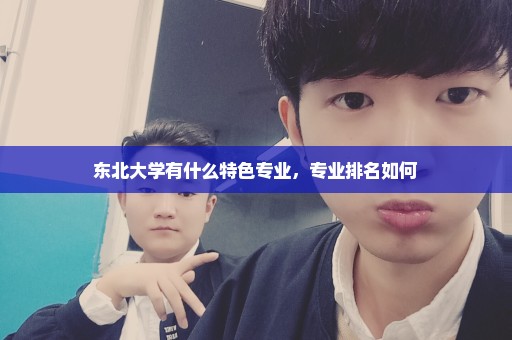 东北大学有什么特色专业，专业排名如何