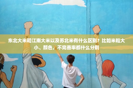 东北大米和江南大米以及苏北米有什么区别？比如米粒大小、颜色，不完善率都什么分别