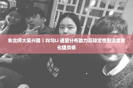 东北师大吴兴隆｜均匀Li+通量分布助力高稳定性耐温度变化锂负极