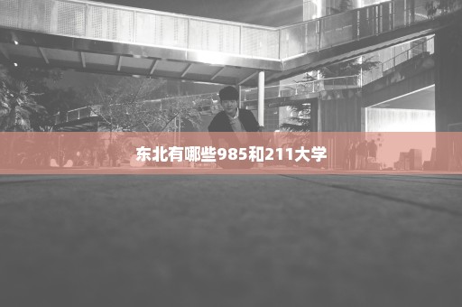 东北有哪些985和211大学